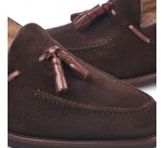 Bolonia Bolonia